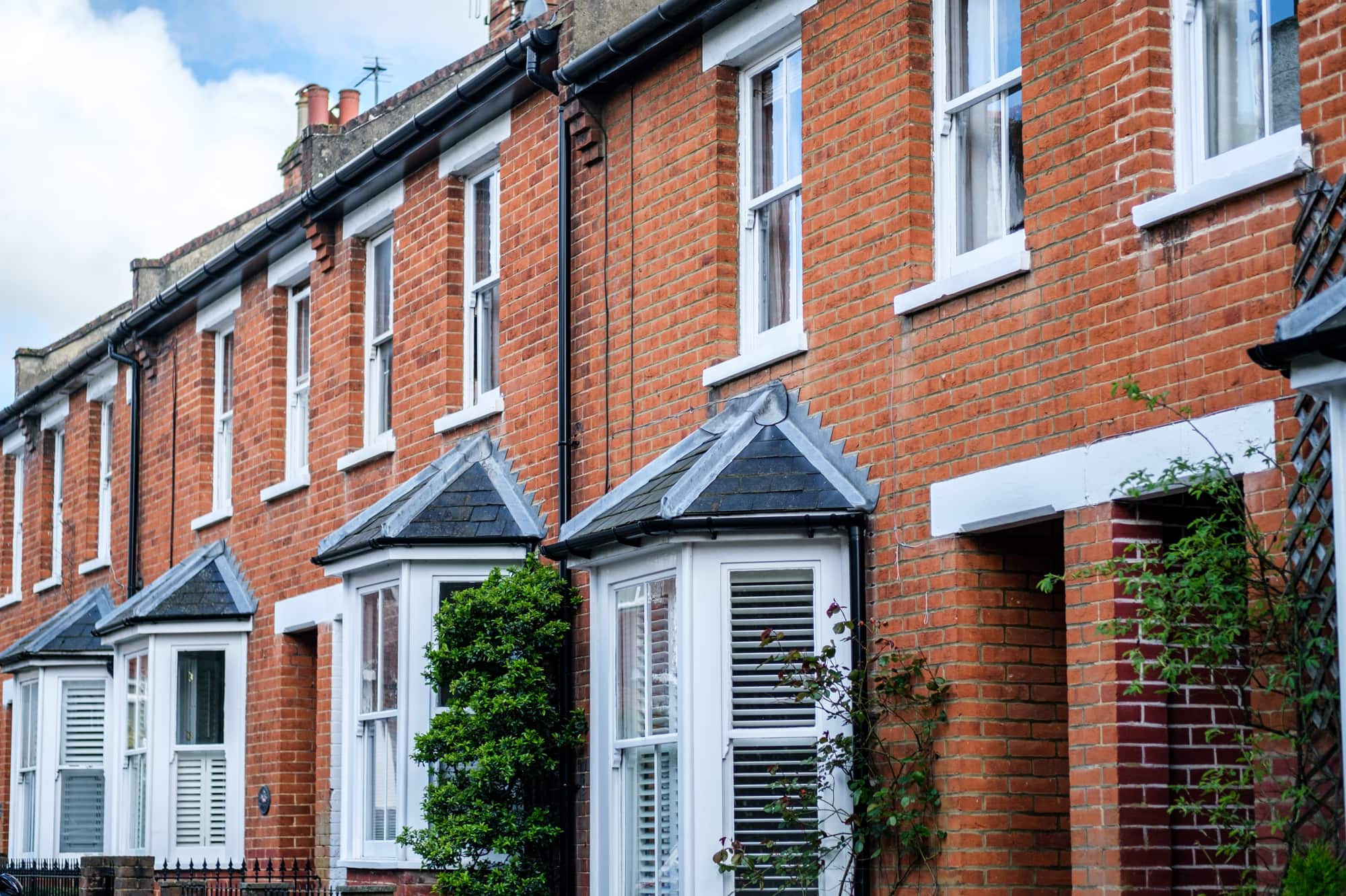 Red Brick Terraces Bay Windows Red-brick terraced houses with white bay windows and climbing plants.