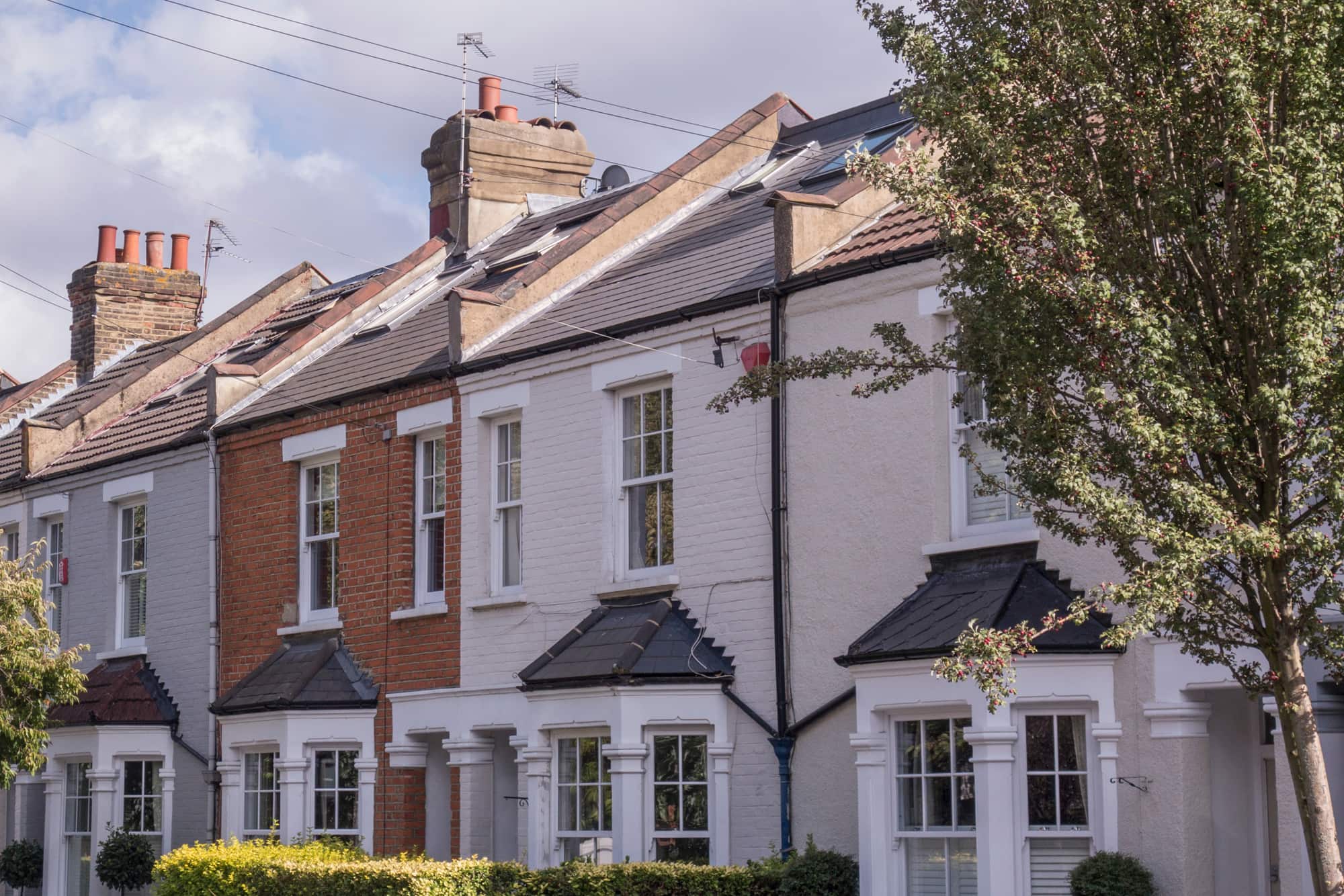 White Brick Terraces Front Gardens White-painted and red-brick terraced houses with trees and front hedges.